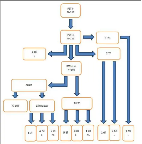 1. ábra. A betegség kimenetel folyamatábrája. PD: progresszió,  TF: kezelési elégtelenség, CR: komplett remisszió, cCR: tartós  CR, EX: halál, L: lymphoma eredet ű , nL: nem L