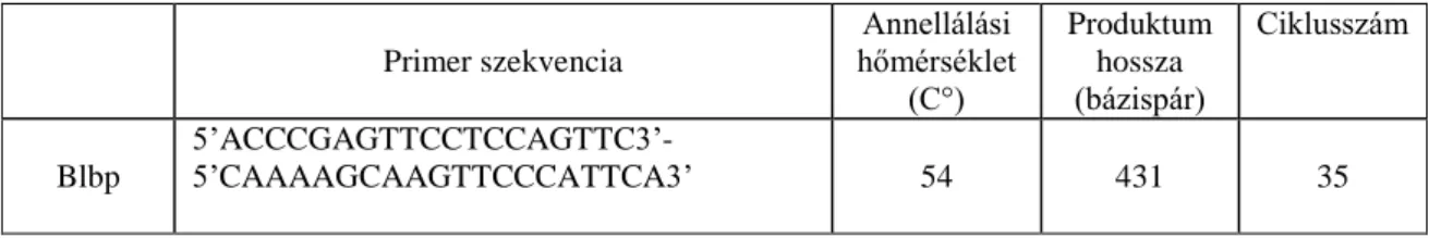 4. Táblázat: Az RT-PCR reakciók során használt primerpárok 