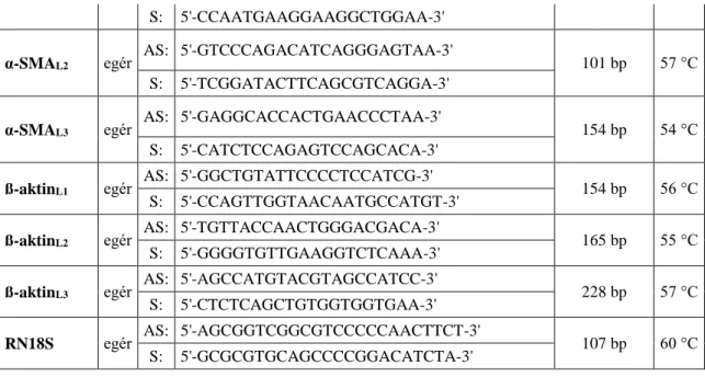 4. táblázat. Az α-SMA valamint ß-aktin specifikus detekciója fibrózis modellben című  vizsgálatokhoz  tartozó  méréseink  során  felhasznált  realtime  RT-PCR  primerek  szekvenciái, valamint a képződő termékek hossza és a primerek anellációs hőmérsékletei