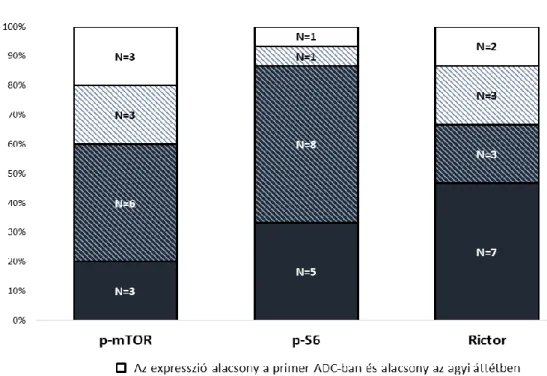 10. ábra. A p-mTOR, a p-S6 és a Rictor expressziójának különbségei a primer tüdő  adenocarcinomák  és  agyi  áttéteik  között