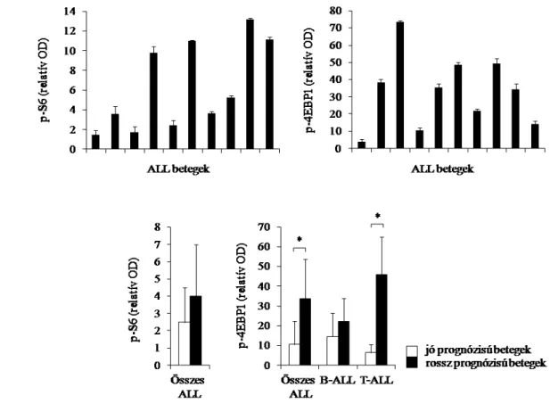 9. ábra. p-S6 és p-4EBP1 fokozott expressziója gyermekkori ALL sejtekben (ELISA). a.