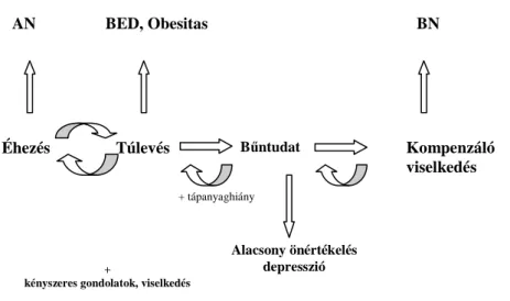 1. ábra. Az evészavarok tüneti dinamikájának modellje 