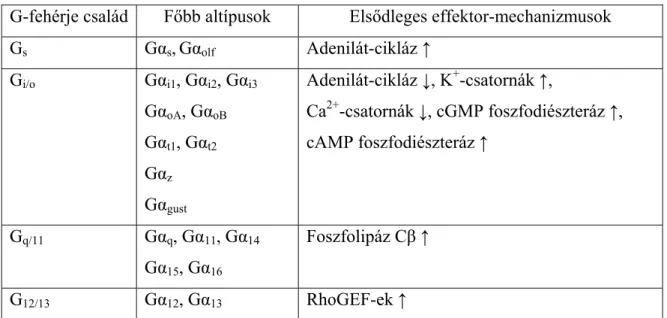 1. táblázat A heterotrimer G-fehérjék főbb családjai és a rájuk jellemző elsődleges effektorok 
