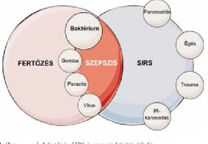 2. ábra A fertőzés, SIRS és szepszis közötti átfedés.