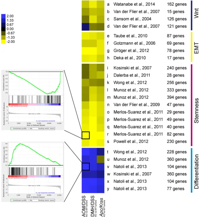 Fig. 2. Loss of Bcl9/9l is correlated with loss of WNT, EMT and stemness signatures, and increased differentiation traits