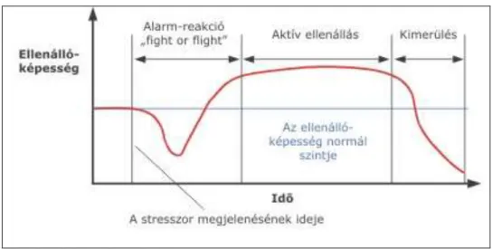 4. ábra: A stressz szakaszai (Selye 1976) 