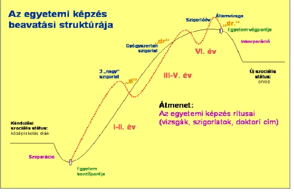 2. ábra: Az egyetemi évek beavatási struktúrája 