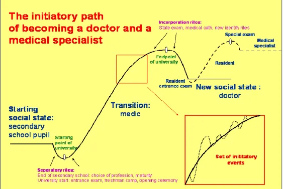 Figure 1: The initiatory path of becoming a doctor and a medical specialist 