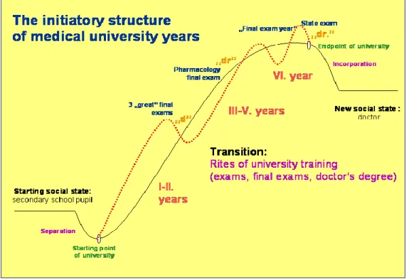 Figure 2: The initiatory structure of medical university years
