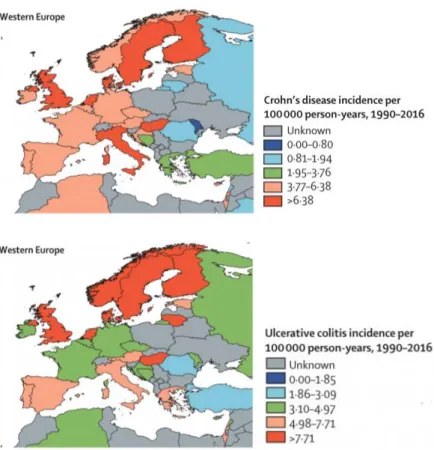 1. ábra. Az IBD előfordulásának átlagos éves incidencia értékei Európában 4