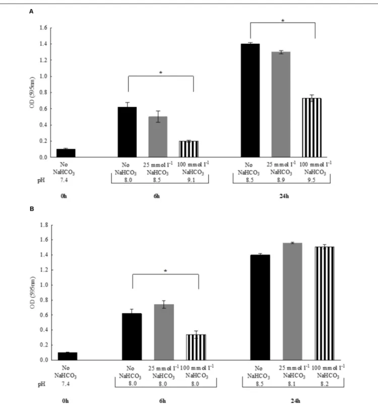 FIGURE 2 | Changes in bacterial density of Pseudomonas aeruginosa and media pH following 6 vs