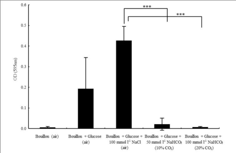FIGURE 4 | Biofilm formation capacity of Pseudomonas aeruginosa in glucose-containing bouillon (4 g l −1 ) in the presence of sodium chloride and two different concentrations of sodium bicarbonate