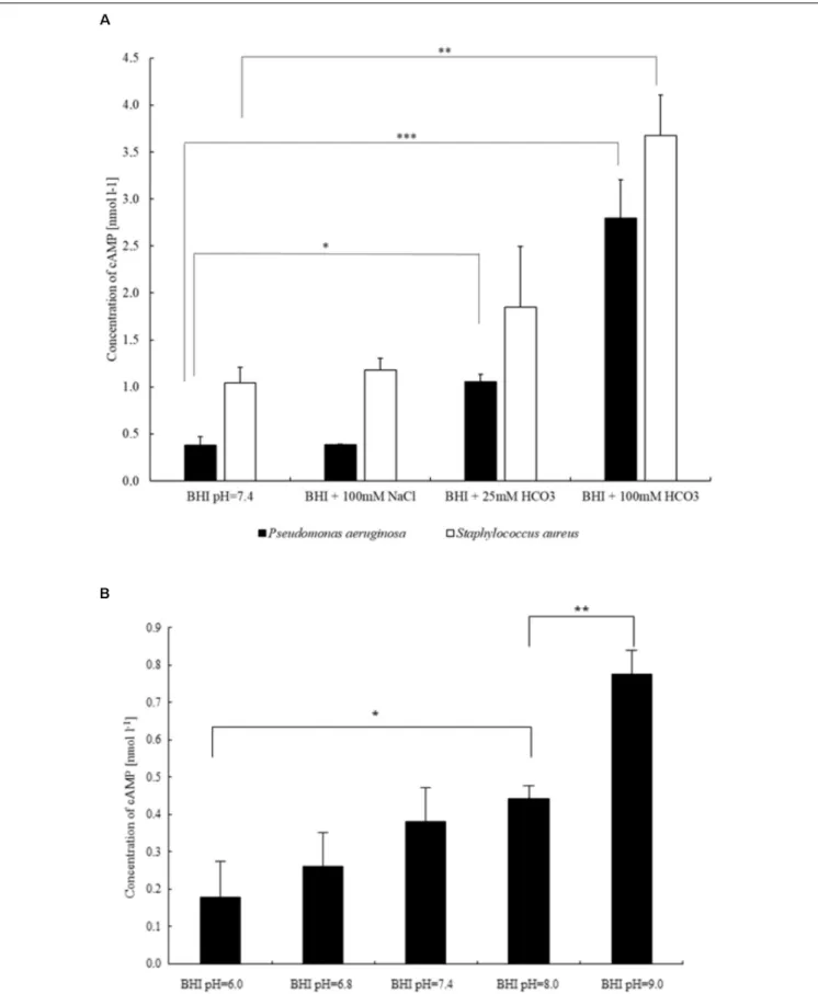 FIGURE 5 | Differences in intracellular cAMP production of bacteria influenced by (A) sodium chloride and two different concentrations of sodium bicarbonate (P