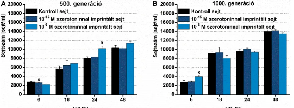 16. ábra: Szerotonin (10 -15 , 10 -6  M) imprinting hatása a sejtek osztódási  képességére az 500