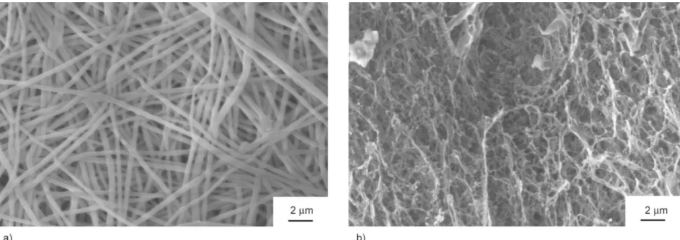 Figure 3. Pictures taken of PVA membranes in different states: SEM picture taken of the fibrous structure after compression (a) and after chemical cross-linking (b).