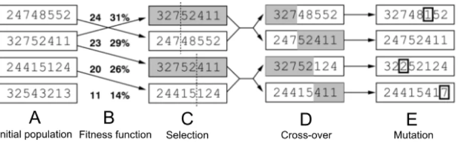 Figure 2: The steps of a genetic algorithm. From our population (A), we select pairs of parents using their fitness function, which describes the  prob-lem condition to solve (B)