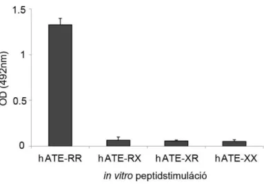 10. ábra: 5/4 E8 T sejtes hybridóma peptidspecifitásának in vitro tesztelése: A P70-84  epitópspecifikus  T  sejt  receptort  hordozó  5/4  E8  T H 1  hybridóma  peptidspecifitását  antigénprezentációs  esszével,  A20  myeloma  sejtek  felhasználásával,  a