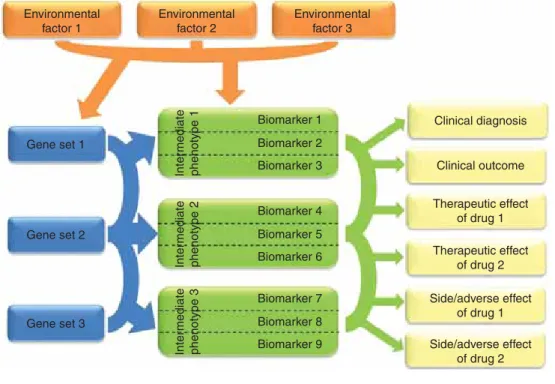 Figure 1. The complex interaction of genes, environmental factors and intermediate phenotypes in biomarker research to predict different endophenotypes and outcome variables