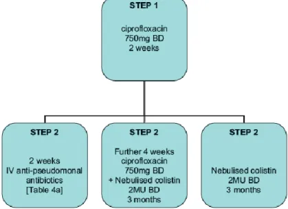 Figure  4  -  The  British  Thoracic  Society  guidelines  provides  a  useful  algorithm  for  Pseudomonas aeruginosa eradication (42)