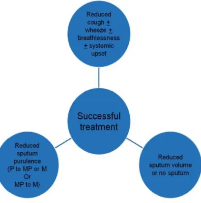 Figure 6 - Definition of successful treatment of an exacerbation. 