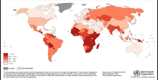 2. ábra. Méhnyakrák mortalitás világszerte (2012). Forrás: Globocan WHO. 