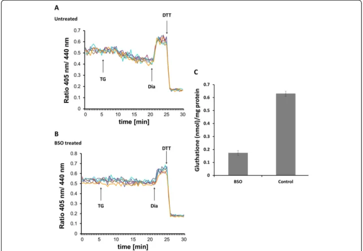Fig. 1 Ca 2+ depletion-triggered ER reduction is sensitive to glutathione depletion by BSO