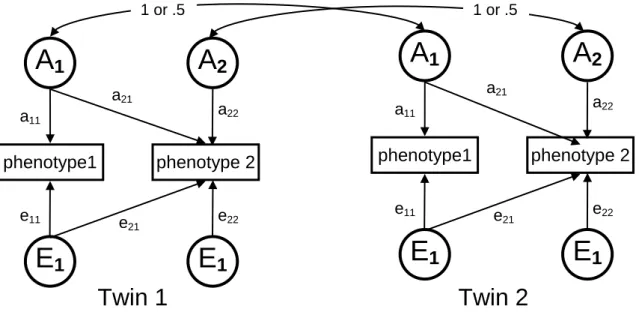 Figure 3. Path diagram of the bivariate Cholesky AE model 