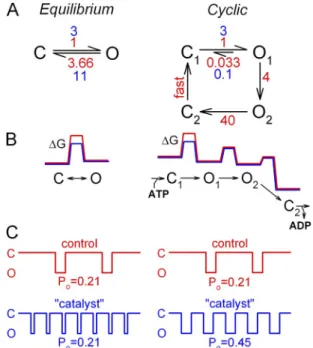 Figure 11.   Catalyst effect as a unique strategy to enhance P o  of  a nonequilibrium ion channel