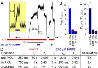 Figure  8.   Phosphorylation  dependence  of  NPPB  stimu- stimu-lation  of  WT  CFTR  reflects  nonlinear  dependence  of  P o