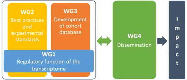 Figure 3. Overall interrelations between the four CardioRNA working groups (WGs) created to  achieve the goals described