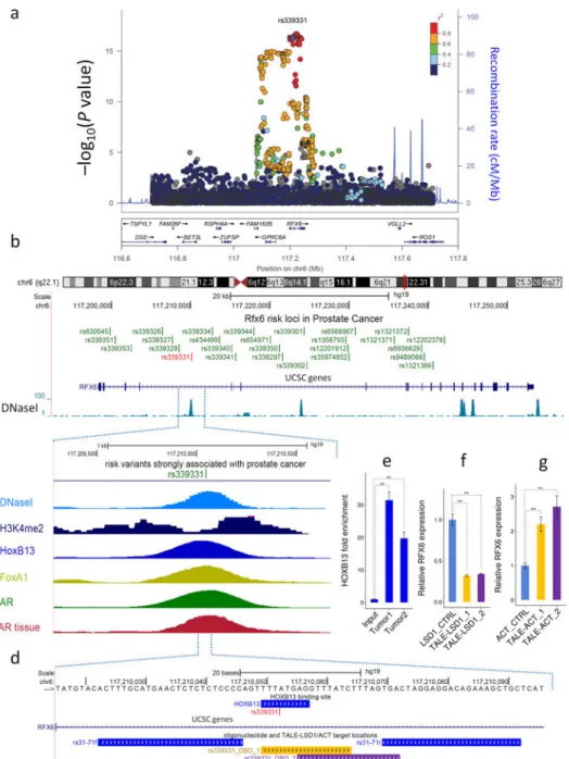 Figure 2. Genetic and epigenetic landscape of the 6q22.1 region