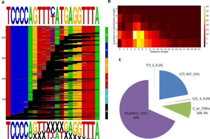Figure 4. Sequencing reveals allelic diversity created by genome editing