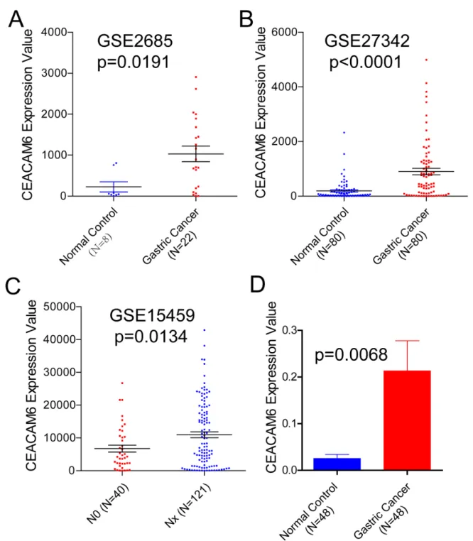 Figure 1: CEACAM6 mRNA expression levels in three different cohort from GEO database. (A) CEACAM6 is over  expressed in 22 gastric cancer tissues compared to 8 noncancerous gastric tissues in GSE2685 dataset (unpaired t-test, p=0.0191, 228.2±122  vs 1032±1