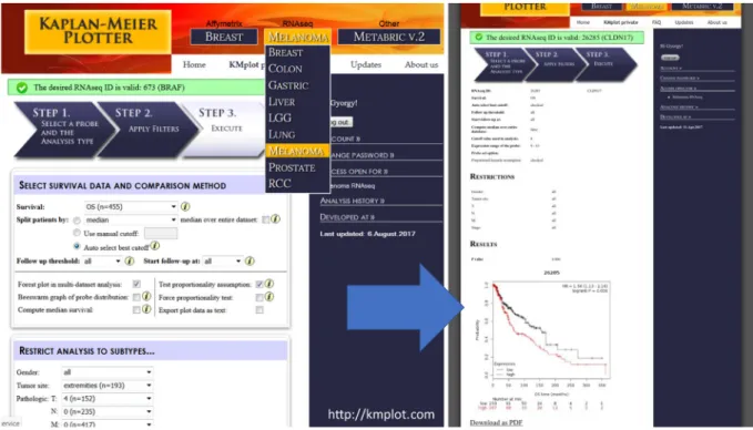 Fig. 3 Integrated surface of the user interface of the developed platform for validation of gene expression-based biomarkers.