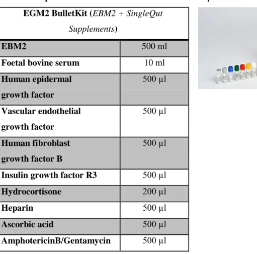 Table 6. Components of EGM2 medium. Table lists components of EGM2 medium 