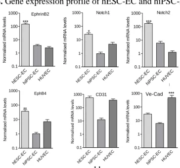 Figure 4. Gene expression profile of hESC-EC and hiPSC-EC 
