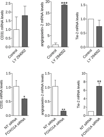 Figure  6.  PI3K/FOXO1A  signalling  modulates  angiogenesis-related  gene expression in hESC-derived endothelial cells 