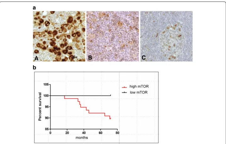 Figure 3 mTOR activity in human Hodgkin-lymphoma biopsies. a. High (A) and low (B) mTOR activity in lymphoma cells of Hodgkin- Hodgkin-lymphoma biopsies