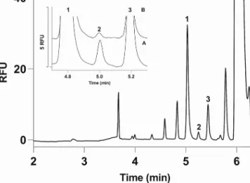 Fig. 1. Electropherograms demonstrating determination of intracellular d-serine content of human SH-SY5Y neuroblastoma cells