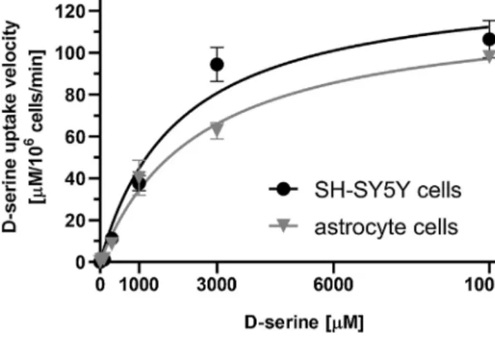 Fig. 3. Sodium dependence of d-serine uptake into SH-SY5Y and astrocyte cells.