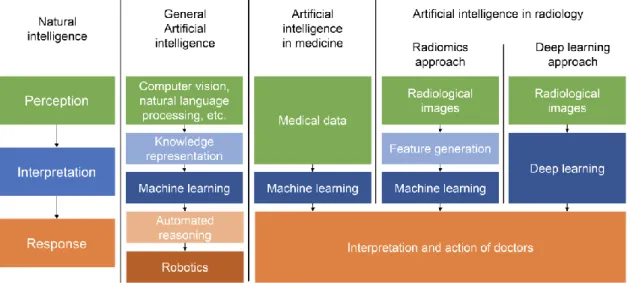 Figure 9. Flow diagram showing the possible implementations of artificial intelligence  to medical data and showing the similarities and differences between radiomics, machine  learning and deep learning (126)