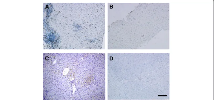 Table 3 mRNA expression levels of costimulatory molecules in inflammatory infiltrates of the liver in cystic echinococcosis, steatosis and chronic hepatitis biopsy samples