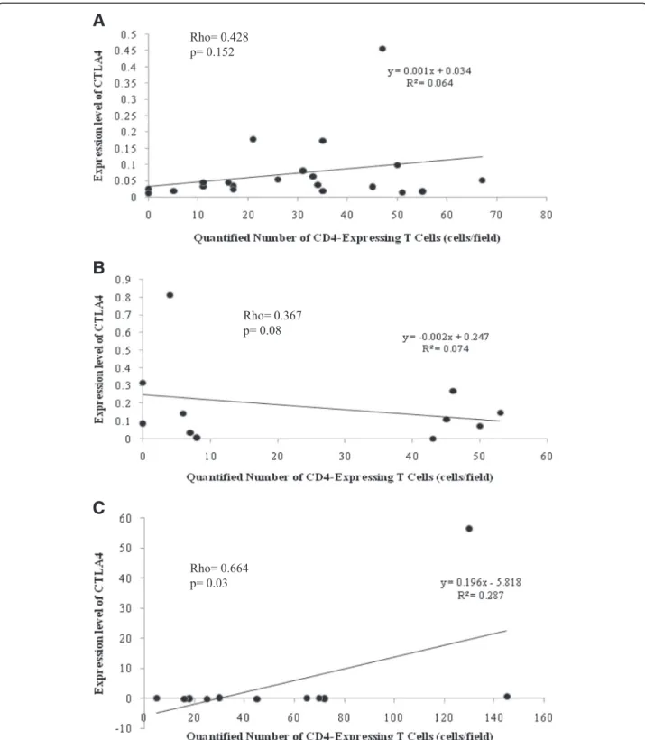 Fig. 3 Correlation between quantity of CD4 + T cells and mRNA expression level of costimulatory CTLA4 molecule in liver samples