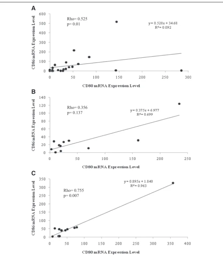 Fig. 4 Correlation between CD86 and CD80 mRNA expression levels in liver biopsies. Statistical analysis identified significant correlation in CE (a) and CH (c) samples where no such correlation was detected in SH materials (b)