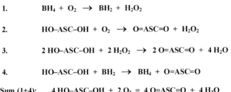 Figure 8. Proposed catalytic effect of tetrahydrobiopterin (BH 4 ) on ascorbic acid (ASC) oxidation