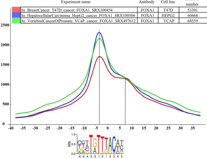 Figure 2. The distance distribution of FOXA1 summits relative to the motif centers of FOXA1 binding sites