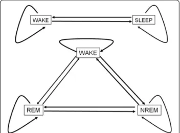 Figure 2 Markov chain representations of sleep stages and transitions between them. The system might jump to a new state or might remain in the current one at any time point