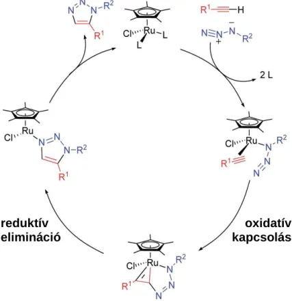 30. ábra Az RuAAC reakciók feltételezett mechanizmusa 69 . oxidatív kapcsolás reduktív 