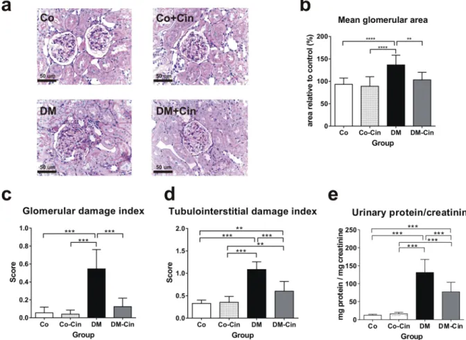 Figure 2.  Effect of cinaciguat on kidney histology and proteinuria in diabetic rats. (a,b) Representative  photomicrographs of PAS stained kidneys (400x magnification) show normal glomerular structure in both Co  and Co-Cin controls, mesangial expansion a