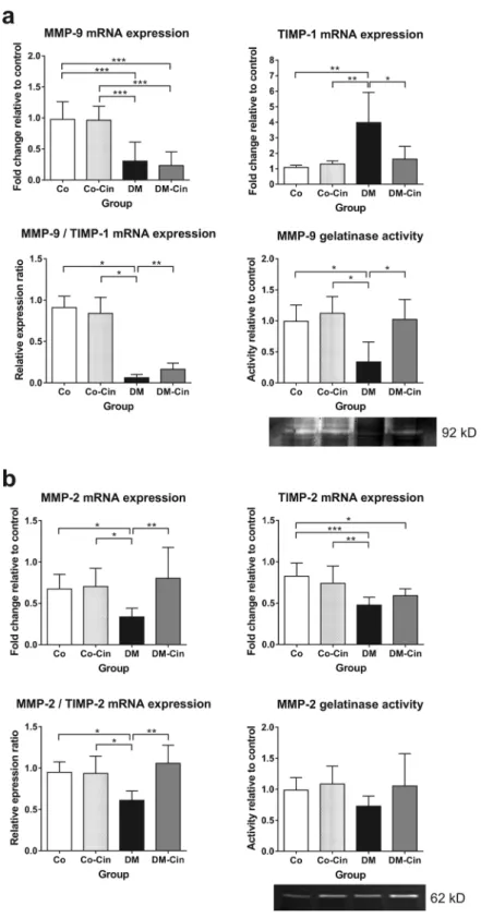 Figure 4.  Effect of cinaciguat on the expression of renal extracellular matrix turnover components